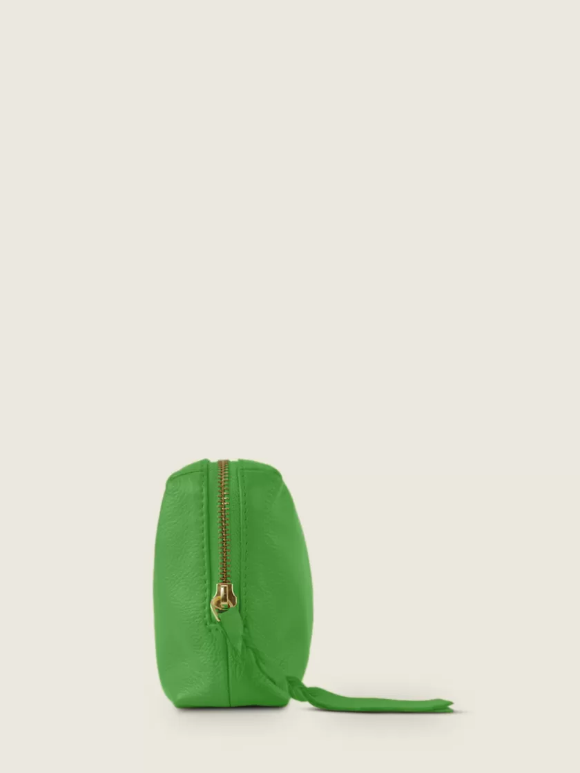 Adèle Sorbet - Kiwi | PAUL MARIUS New