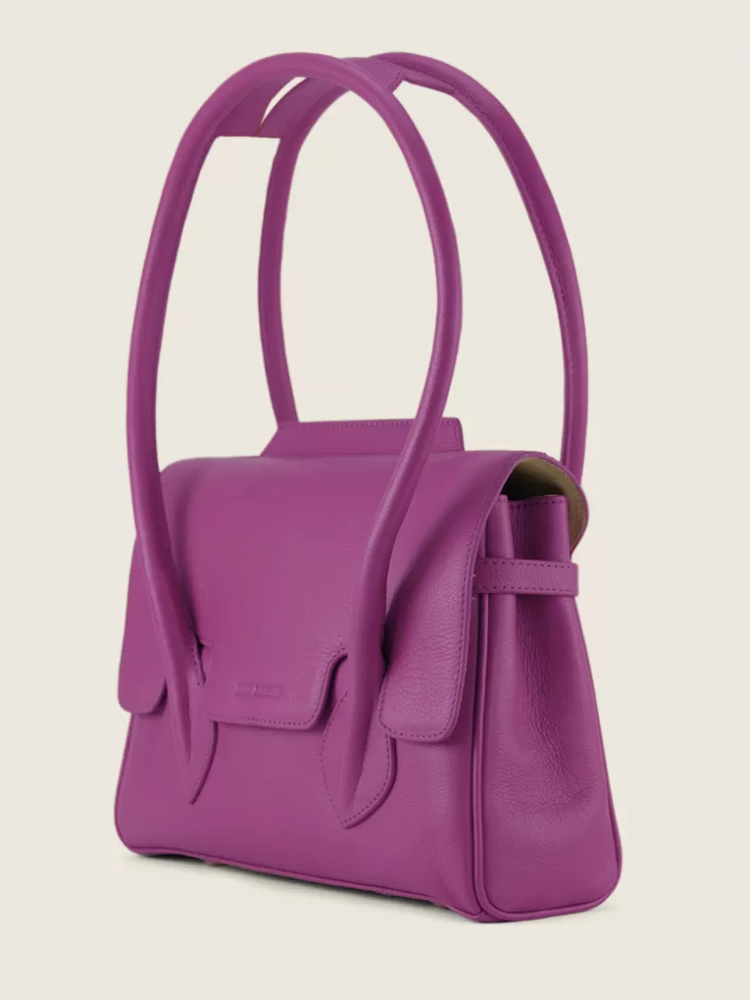 Colette S Sorbet - Blackcurrant | PAUL MARIUS Hot
