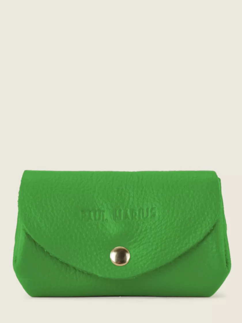 LeGustave Sorbet - Kiwi | PAUL MARIUS Shop