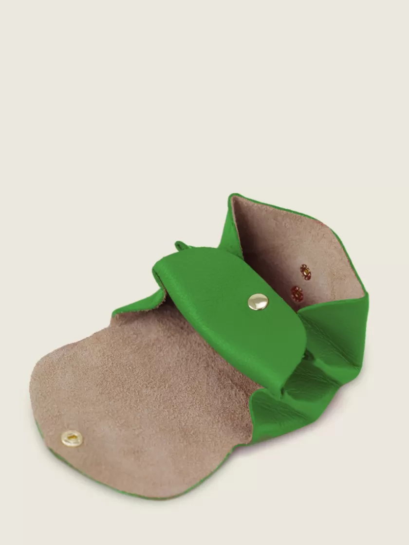 LeGustave Sorbet - Kiwi | PAUL MARIUS Shop